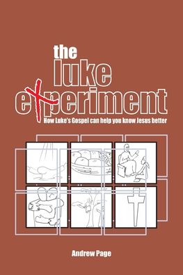 Cover for Andrew Page · The Luke Experiment (Paperback Book) (2022)