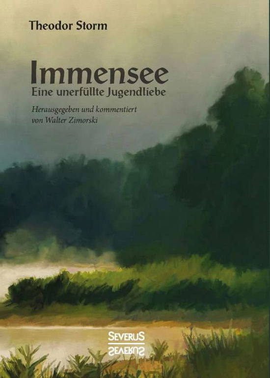 Cover for Storm · Immensee (Book) (2024)