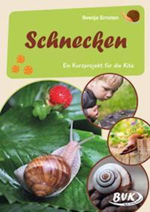 Cover for Buch Verlag Kempen · Schnecken (Pamflet) (2022)