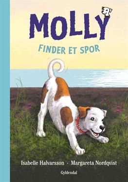 Cover for Isabelle Halvarsson · Molly: Molly 3 - Molly finder et spor (Indbundet Bog) [1. udgave] [Indbundet] (2013)