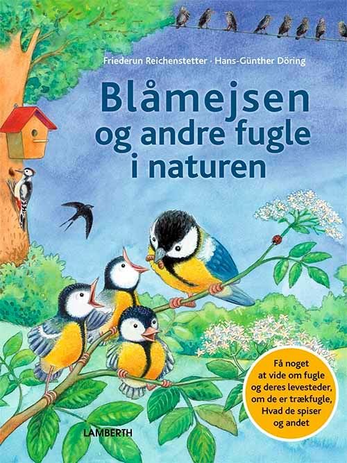Cover for Friederun Reichenstetter · Blåmejsen og andre fugle i naturen (Bound Book) [1.º edición] (2021)