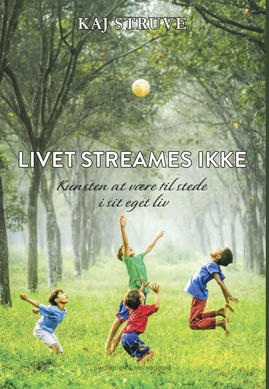 Kaj Struve · Livet streames ikke (Sewn Spine Book) [1e uitgave] (2024)