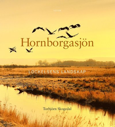 Cover for Torbjörn Skogedal · Hornborgasjön : Lockelsens landskap (Inbunden Bok) (2018)