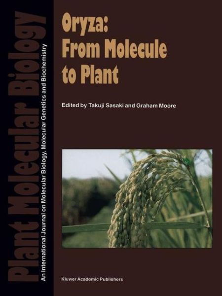 Cover for Takuji Sasaki · Oryza: From Molecule to Plant (Paperback Book) [Softcover reprint of the original 1st ed. 1997 edition] (2013)