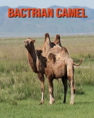 Cover for William Doyle · Bactrian Camel (Paperback Book) (2020)