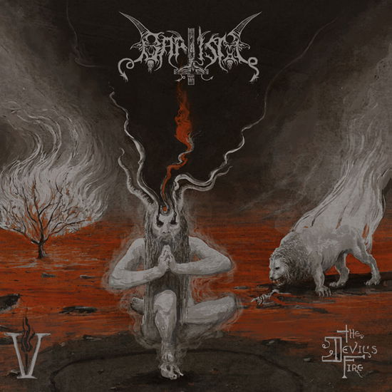 Cover for Baptism · V: the Devils Fire (CD) (2024)