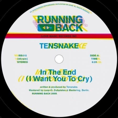 Cover for Tensnake · In the End (12&quot;) [EP edition] (2009)