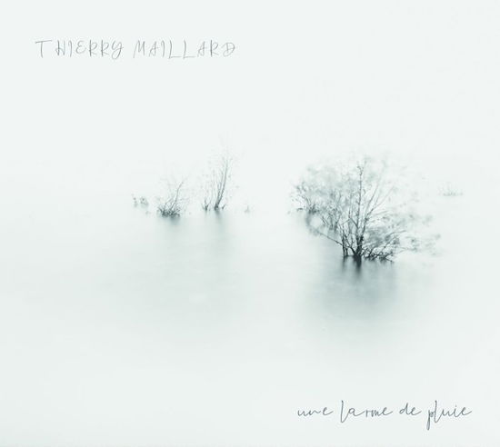 Une L'arme De Pluie - Thierry Maillard - Muzyka - L'AUTRE - 3521383462461 - 2 września 2022