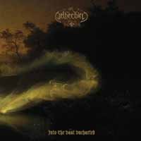 Cover for Netherbird · Into The Vast Uncharted (LP) [180 gram edition] (2019)