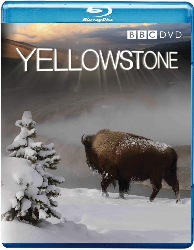 Yellowstone [Edizione: Regno Unito] - Yellowstone [edizione: Regno U - Filmes - BBC - 5051561000461 - 15 de junho de 2009
