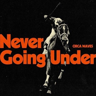 Cover for Circa Waves · Never Going Under (LP) (2023)