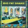 Cover for Big Fat Snake (CD) (2005)