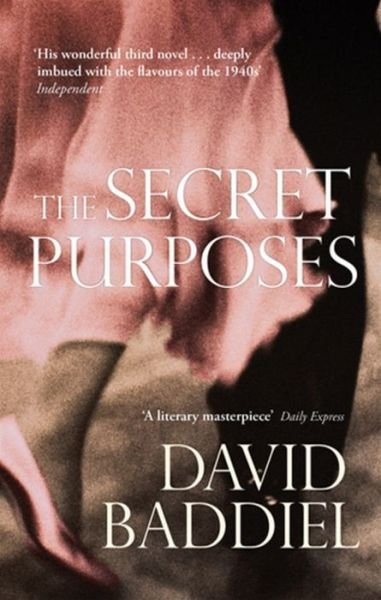Cover for David Baddiel · The Secret Purposes (Pocketbok) (2005)