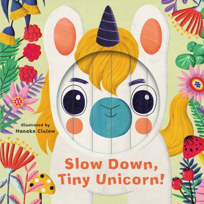 Cover for Rhiannon Findlay · Little Faces: Slow Down, Tiny Unicorn! - Little Faces (Board book) (2021)