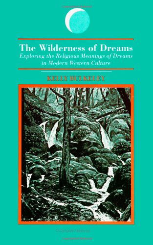 Cover for Kelly Bulkeley · The Wilderness of Dreams: Exploring the Religious Meanings of Dreams in Modern Western Culture (S U N Y Series in Dream Studies) (Suny Series, Dream Studies) (Paperback Book) (1994)