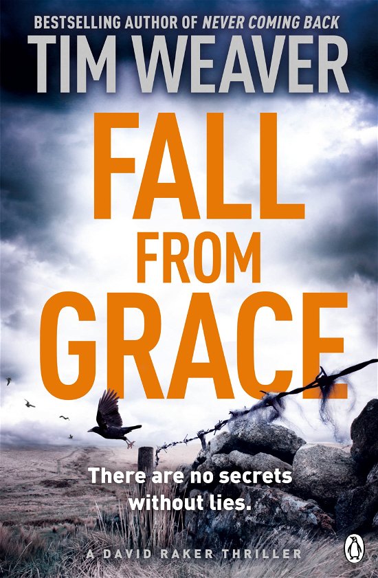 Cover for Tim Weaver · Fall From Grace: Her husband is missing . . . in this BREATHTAKING THRILLER - David Raker Missing Persons (Paperback Bog) (2014)