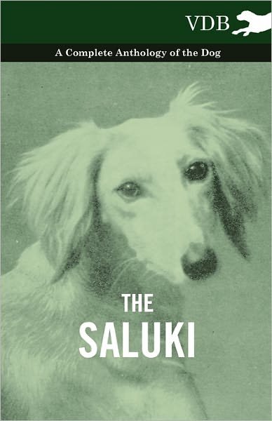 Cover for The Saluki - a Complete Anthology of the Dog (Pocketbok) (2010)