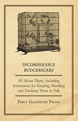 Cover for Percy Gladstone · Incomparable Budgerigars - All About Them, Including Instructions for Keeping, Breeding and Teaching Them to Talk (Paperback Bog) (2011)