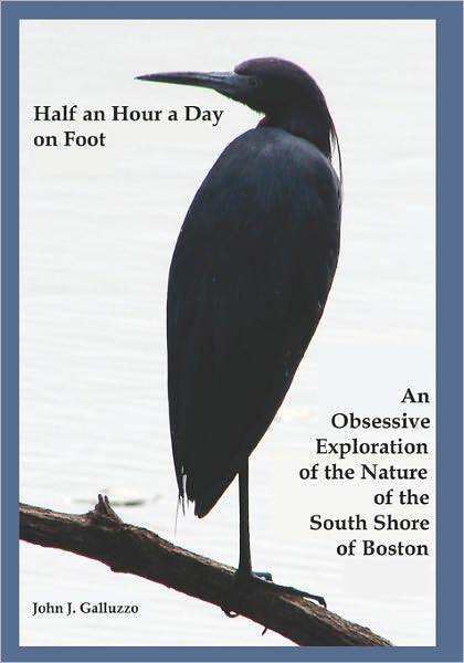 Cover for John J Galluzzo · Half an Hour a Day on Foot: an Obsessive Exploration of the Nature and History of the South Shore of Boston (Pocketbok) (2010)