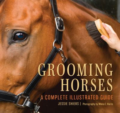 Cover for Jessie Shiers · Grooming Horses: A Complete Illustrated Guide (Taschenbuch) (2025)