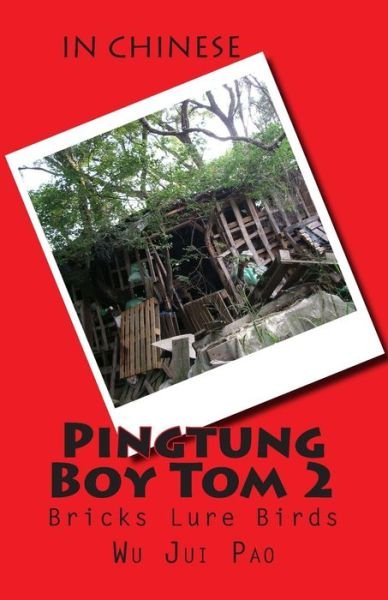 Cover for Wu Jui Pao · Pingtung Boy Tom 2: Bricks Lure Birds (Taschenbuch) (2015)