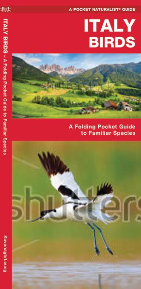 Cover for Kavanagh, James, Waterford Press · Italy Birds: A Folding Pocket Guide to Familiar Species - Nature Observation International (Pamphlet) (2020)