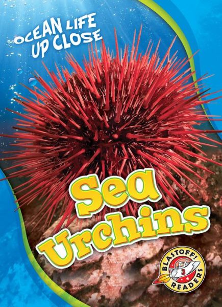 Cover for Heather Adamson · Sea Urchins (Hardcover Book) (2019)