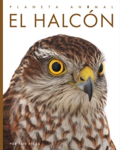Cover for Kate Riggs · Halcón (Book) (2023)
