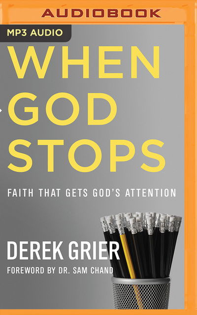 When God Stops - Derek Grier - Audio Book - BRILLIANCE AUDIO - 9781721356461 - August 13, 2019