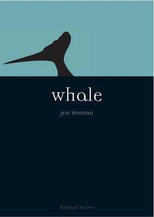 Cover for Joe Roman · Whale - Animal Series (Paperback Book) (2005)