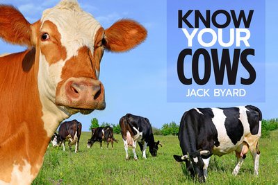 Cover for Jack Byard · Know Your Cows (Paperback Book) (2020)