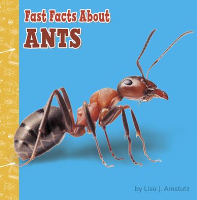 Cover for Lisa J. Amstutz · Fast Facts About Ants (Hardcover Book) (2021)