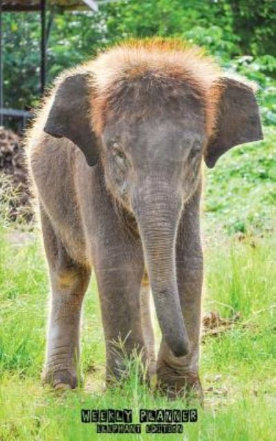 Cover for Journal Jungle Publishing · Weekly Planner Elephant Edition: 52 Weekly Planner Pages + 52 To Do List Pages + Cute Elephants on the Front and Back Covers (5 x 8 Inches / Green) (Paperback Book) (2016)