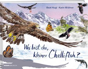 Cover for Beat Hugi · Wo bist du, kleiner Challifloh? (Book) (2023)