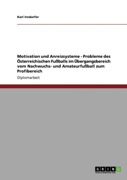 Cover for Irndorfer · Motivation und Anreizsysteme (Book) [German edition] (2009)