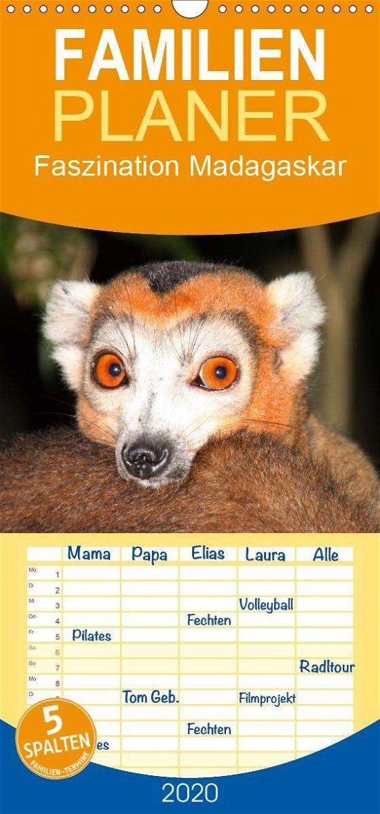 Faszination Madagaskar - Familienp - Raab - Bøger -  - 9783671091461 - 
