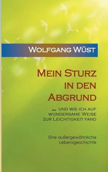 Cover for Wolfgang Wust · Mein Sturz in den Abgrund: ... und wie ich auf wundersame Weise zur Leichtigkeit fand (Paperback Book) (2019)