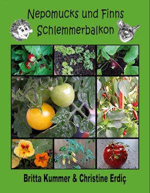 Cover for Britta Kummer · Nepomucks und Finns Schlemmerbalkon (Book) (2023)