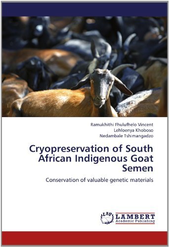 Cryopreservation of South African Indigenous Goat Semen: Conservation of Valuable Genetic Materials - Nedambale Tshimangadzo - Livros - LAP LAMBERT Academic Publishing - 9783848442461 - 25 de julho de 2012