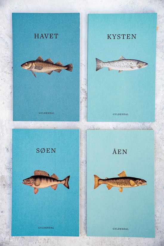 Cover for Gyldendal · Lystfiskerens håndbøger. Havet. Kysten. Søen. Åen. (Poketbok) [1:a utgåva] (2024)