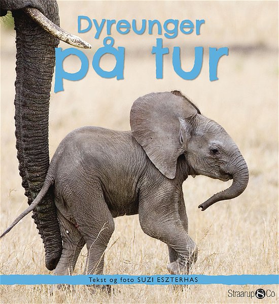 Cover for Suzi Eszterhas · Dyreunger på tur (Hardcover Book) [1th edição] (2019)