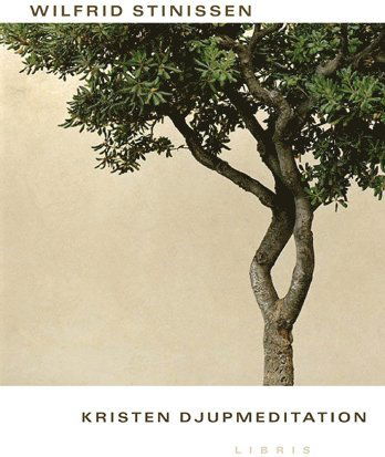 Kristen djupmeditation - Wilfrid Stinissen - Books - Libris förlag - 9789171959461 - 2008