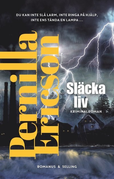 Cover for Pernilla Ericson · Släcka liv (Bound Book) (2022)