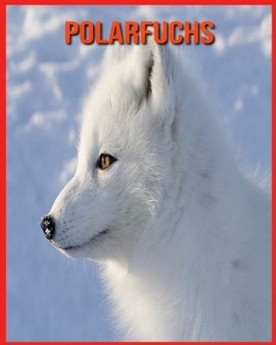 Cover for Annie Nichols · Polarfuchs (Paperback Book) (2021)