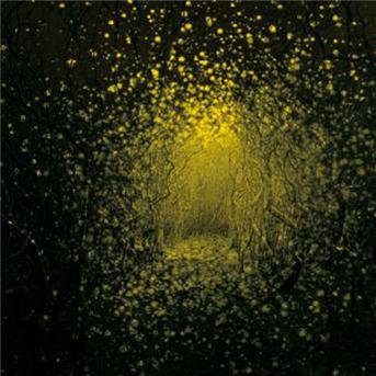 Cover for Antlers · Antlers-burst Apart (CD) (2011)