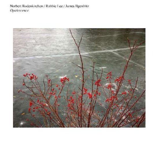 Cover for Norbert Rodenkirchen · Opalescence (LP) (2018)