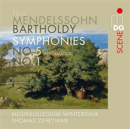 Cover for Musikkollegium Winterthur / Zehetmair · Symphony no 1 &amp; 5 MDG Klassisk (SACD) (2013)