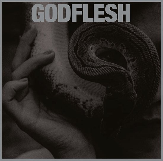 Cover for Godflesh · Purge (Silver Vinyl) (LP) (2023)