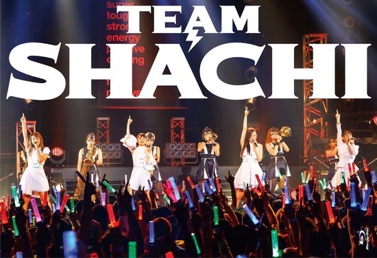 Cover for Team Shachi (CD) [Limited edition] (2019)