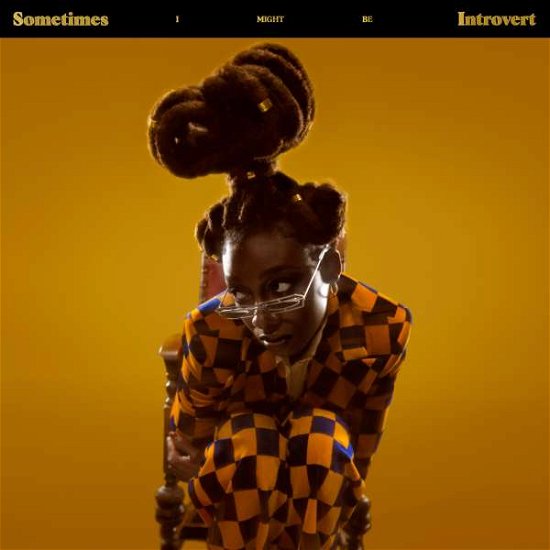 Cover for Little Simz · Sometimes I Might Be Introvert (CD) [Digipak] (2021)